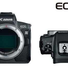 Canon EOS R (Used/Refurbished) + 3RD Party Canon EF to RF adapter